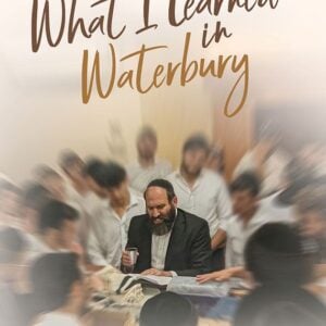 What I Learned in Waterbury