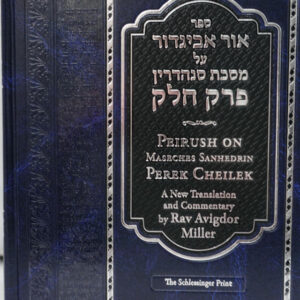 Ohr Avigdor Peirush on Perek Cheilek - Vol 2
