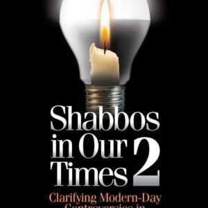 Shabbos in Our Times 2